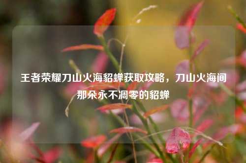 王者荣耀刀山火海貂蝉获取攻略,刀山火海间那朵永不凋零的貂蝉