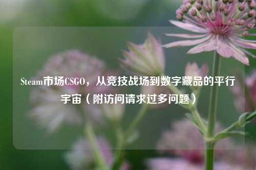 Steam市场CSGO,从竞技战场到数字藏品的平行宇宙(附访问请求过多问题)