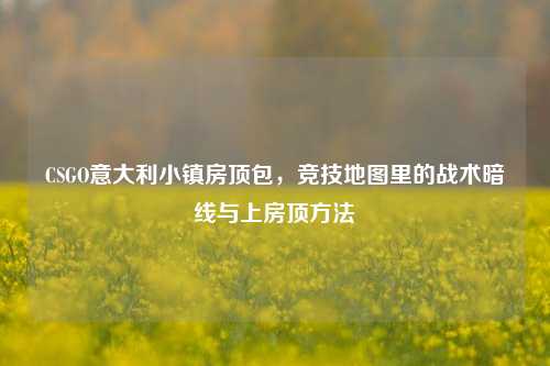 CSGO意大利小镇房顶包,竞技地图里的战术暗线与上房顶方法