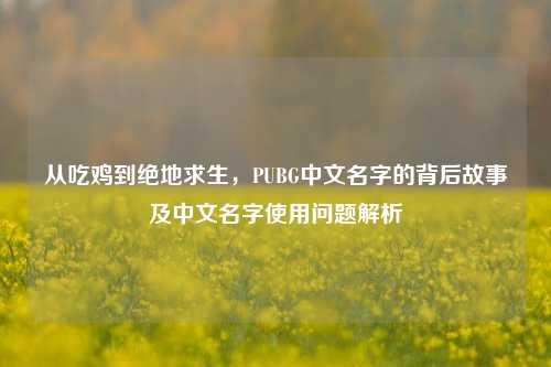从吃鸡到绝地求生，PUBG中文名字的背后故事及中文名字使用问题解析
