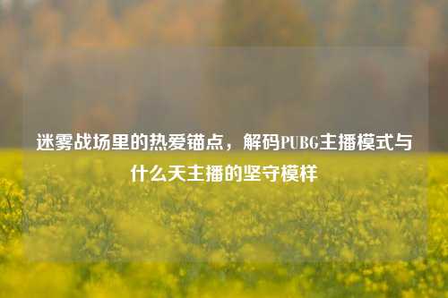 迷雾战场里的热爱锚点,解码PUBG主播模式与什么天主播的坚守模样