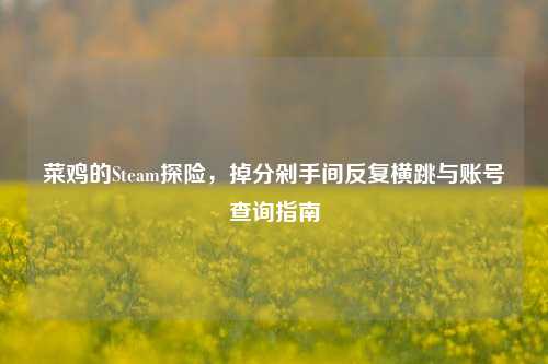 菜鸡的Steam探险,掉分剁手间反复横跳与账号查询指南