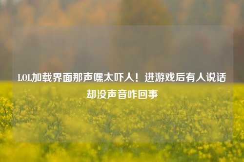 LOL加载界面那声嘿太吓人！进游戏后有人说话却没声音咋回事