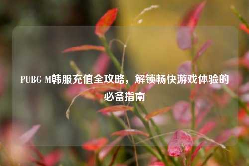 PUBG M韩服充值全攻略，解锁畅快游戏体验的必备指南