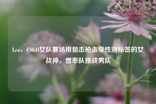 Leo,CSGO女队赛场用狙击枪击穿性别标签的女战神,曾率队挑战男队