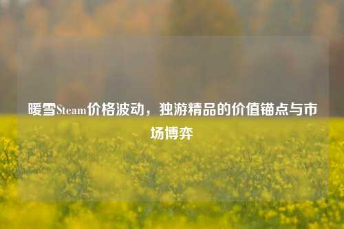 暖雪Steam价格波动,独游精品的价值锚点与市场博弈