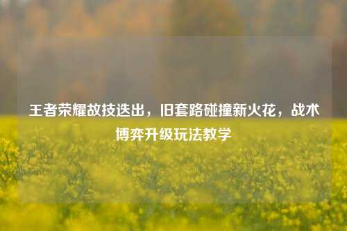 王者荣耀故技迭出,旧套路碰撞新火花,战术博弈升级玩法教学