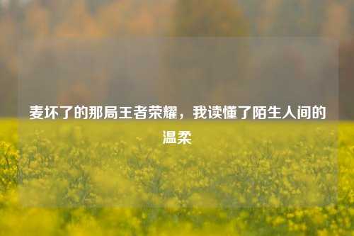 麦坏了的那局王者荣耀,我读懂了陌生人间的温柔