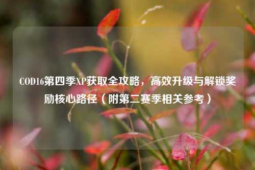 COD16第四季XP获取全攻略,高效升级与解锁奖励核心路径(附第二赛季相关参考)