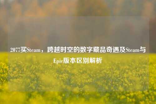 2077买Steam,跨越时空的数字藏品奇遇及Steam与Epic版本区别解析