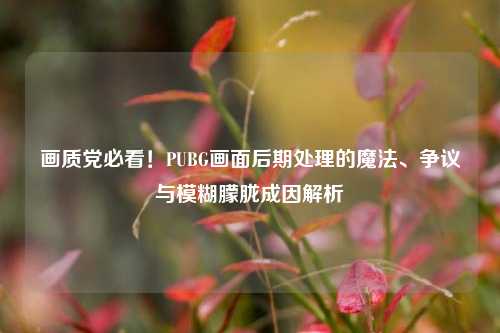 画质党必看!PUBG画面后期处理的魔法、争议与模糊朦胧成因解析