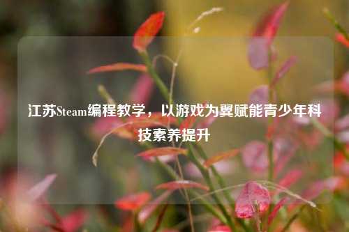 江苏Steam编程教学,以游戏为翼赋能青少年科技素养提升