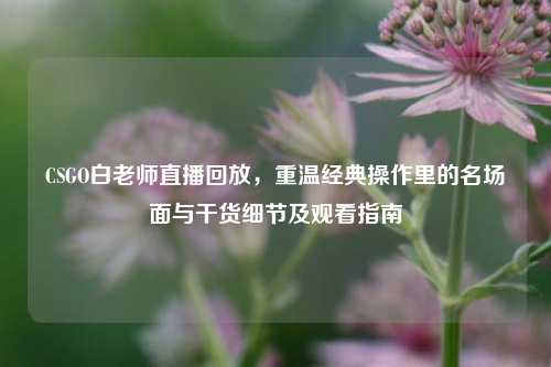CSGO白老师直播回放,重温经典操作里的名场面与干货细节及观看指南