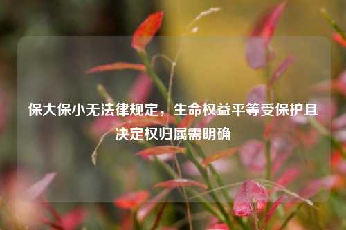 保大保小无法律规定,生命权益平等受保护且决定权归属需明确