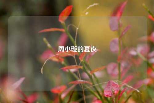 周小璇的夏夜