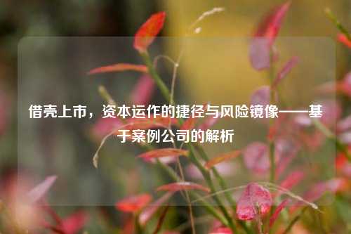 借壳上市,资本运作的捷径与风险镜像——基于案例公司的解析