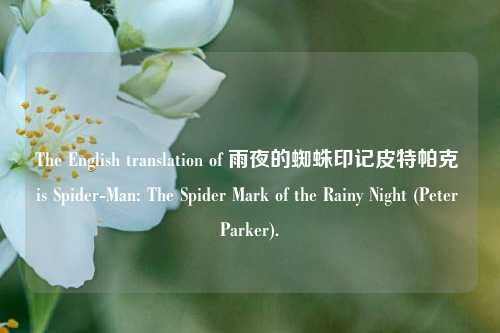 The English translation of 雨夜的蜘蛛印记皮特帕克 is Spider-Man: The Spider Mark of the Rainy Night (Peter Parker).