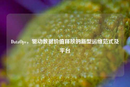 DataOps，驱动数据价值释放的新型运维范式及平台