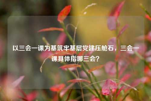 以三会一课为基筑牢基层党建压舱石,三会一课具体指哪三会?
