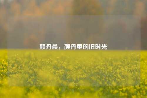 颜丹晨，颜丹里的旧时光