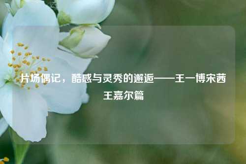 片场偶记,酷感与灵秀的邂逅——王一博宋茜王嘉尔篇