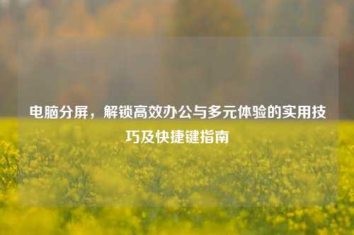 电脑分屏,解锁高效办公与多元体验的实用技巧及快捷键指南
