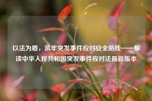 以法为盾,筑牢突发事件应对安全防线——解读中华人民共和国突发事件应对法最新版本