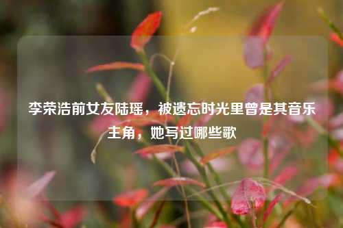 李荣浩前女友陆瑶，被遗忘时光里曾是其音乐主角，她写过哪些歌